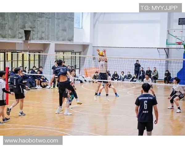 西安排球队灵活性引发热议球迷与专家观点碰撞分析